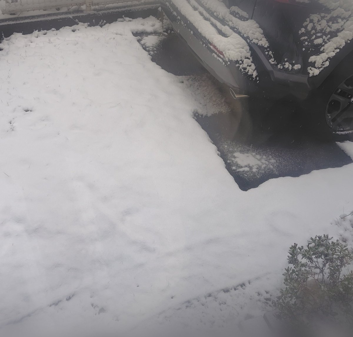 えーto tweet media