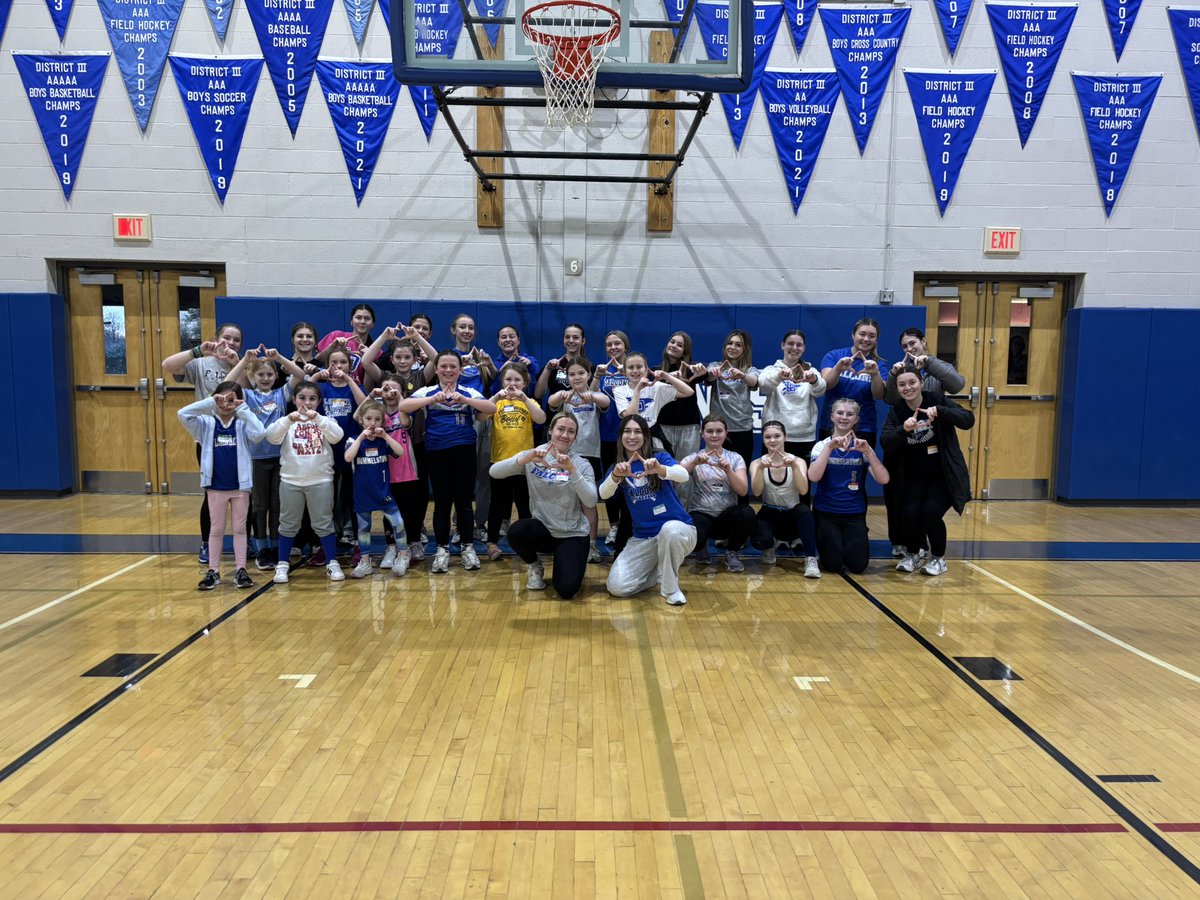 Lower Dauphin Softball tweet media