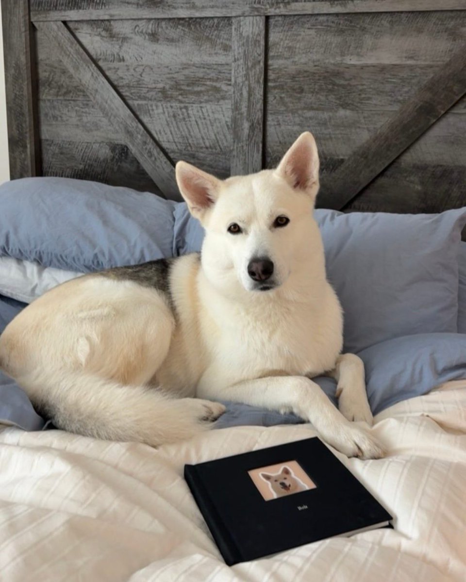 Printique by Adorama tweet media