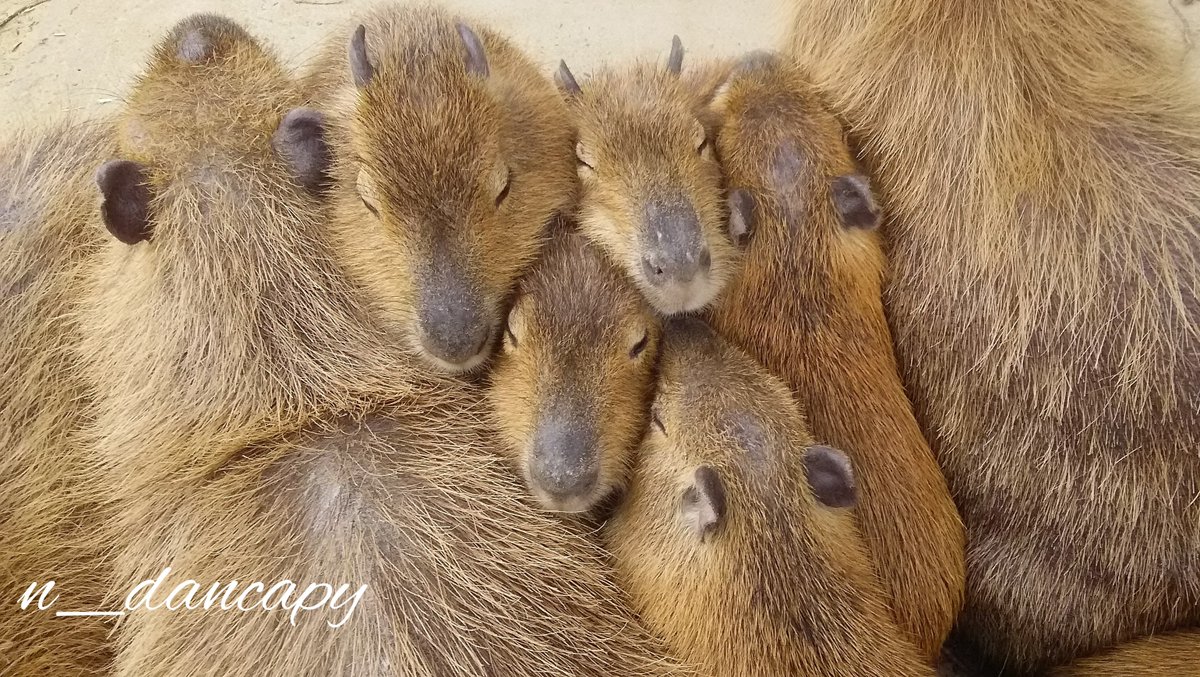 寒い…
温まりながらおはようございます。