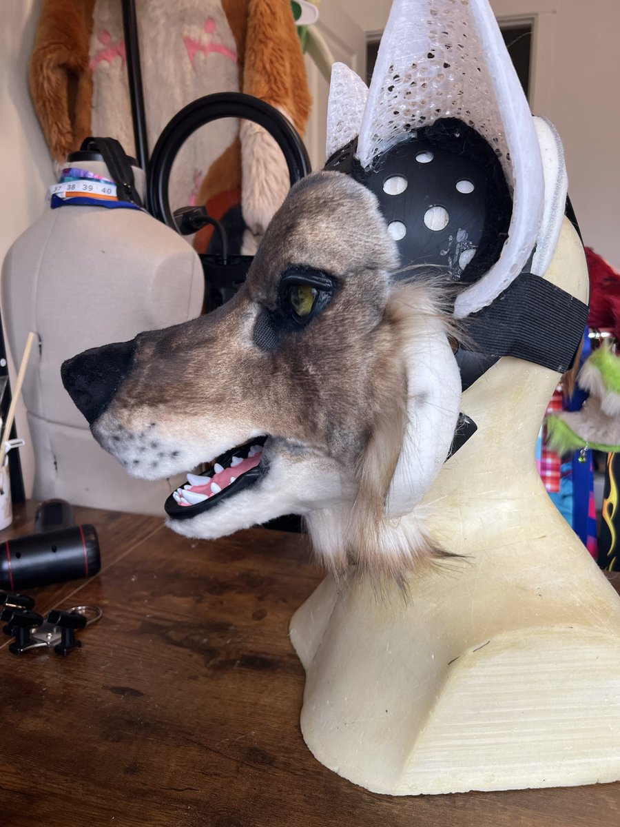 Before vs. After of airbrushing this realistic wolf premade! He will be going through another round of airbrushing after I get all his fur on.

Eyes: SaltyPuppyStudios 
Head base/Jawset/Ears: MetalHoundStudios

#furry #fursuit #fursuitmaker #fursuitpremade