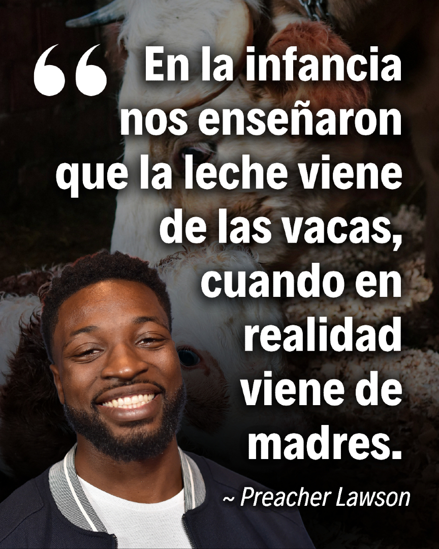 VeganFTAEspanol's tweet image. ¿A qué edad te enteraste que la mayoría de la leche proviene de madres separadas de sus bebés? 🤔💔

#leche #madres #familia #respetoanimal #animalrespect