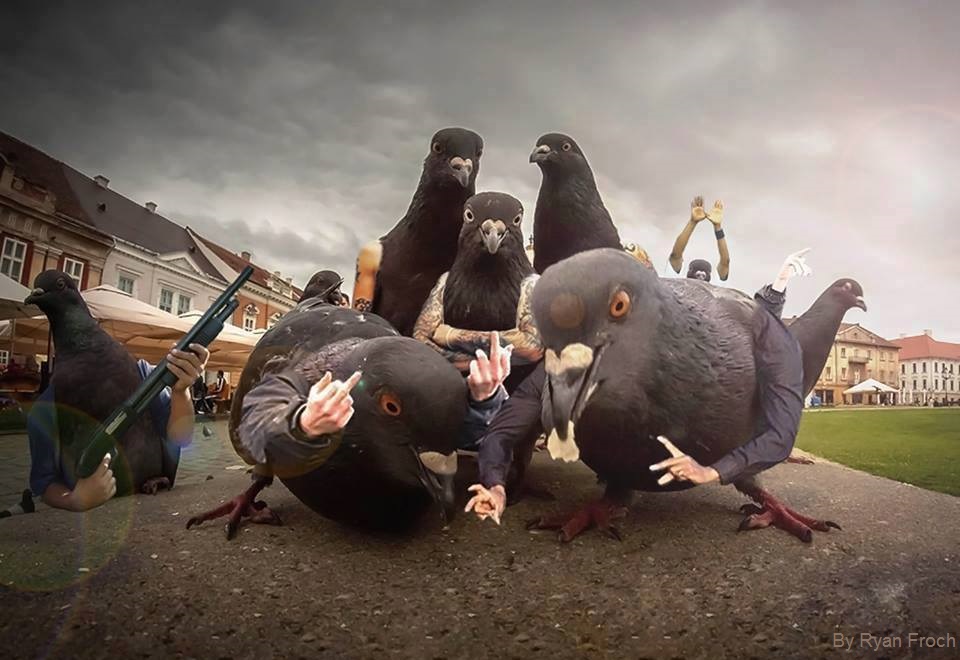 <a href="/level941/">941</a> $BIRDS aren't real and you know it! 
9a4CxgpfKtafkH1FLYnzGe3kDKF9JNcvLqqptWuLpump