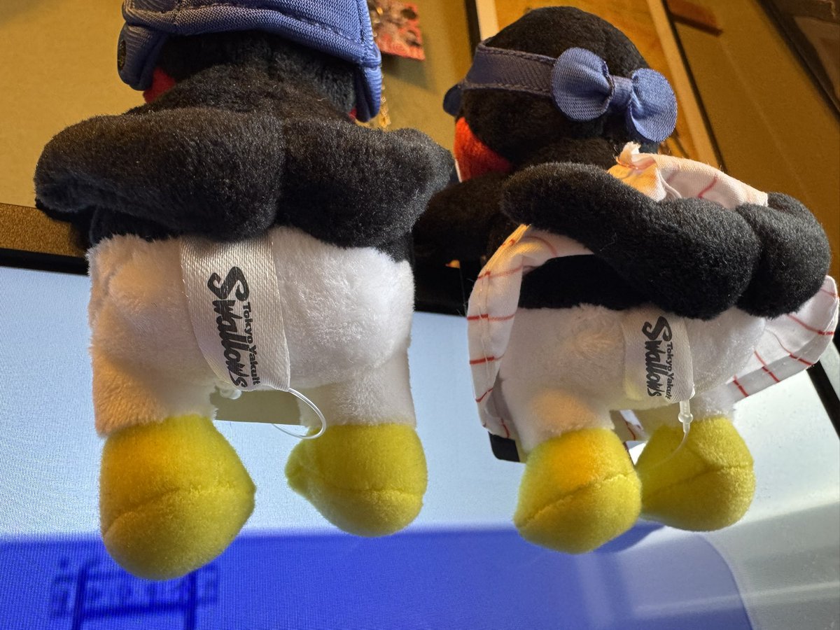 💚💙あつくろう🐧⛱️ tweet media