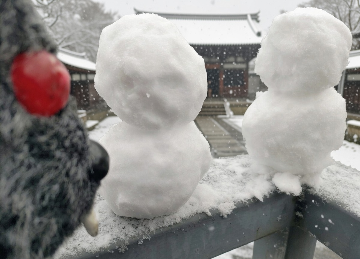 ちょっとイビツぢゅが…
地蔵菩薩像のように見えるぢゅし、ありがたいぢゅなぁ🐭🙏
因みに、ご近所の迷惑になってはいけないぢゅし、
背景はAIで合成してるぢゅよ✨