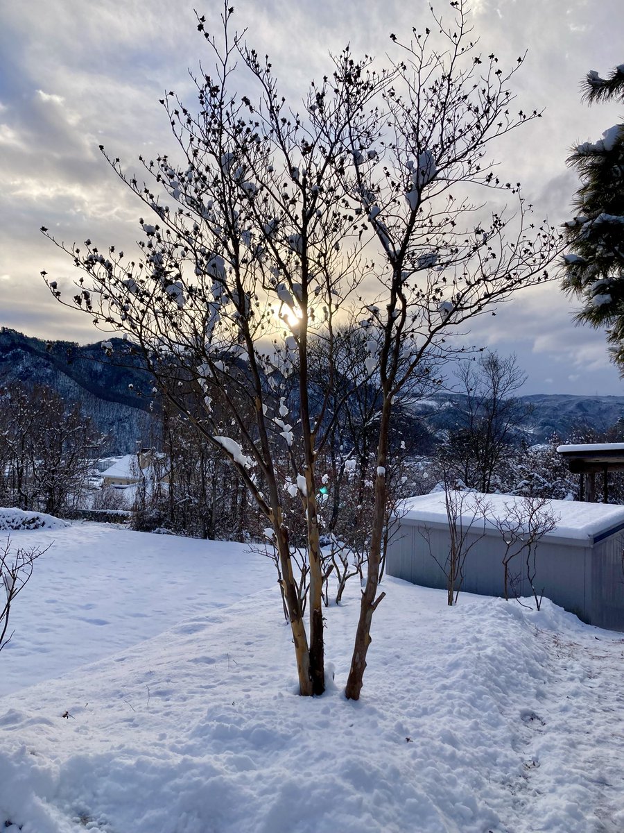 dIUO6SqXIP61040's tweet photo. おはようございます。
一棟貸し宿 もりしま です。
雪が降りました。
#上田市武石
#貸し切り
#美ヶ原高原
#宿
#泊まる
#信州上田
#番所ヶ原スキー場
#焚き火🔥
#morishima https://t.co/2JYLonNM9T