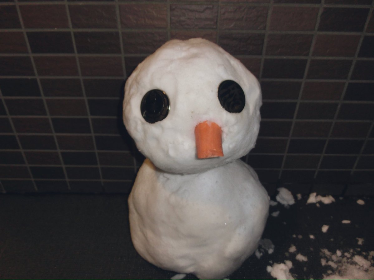 汐 しゅい tweet media