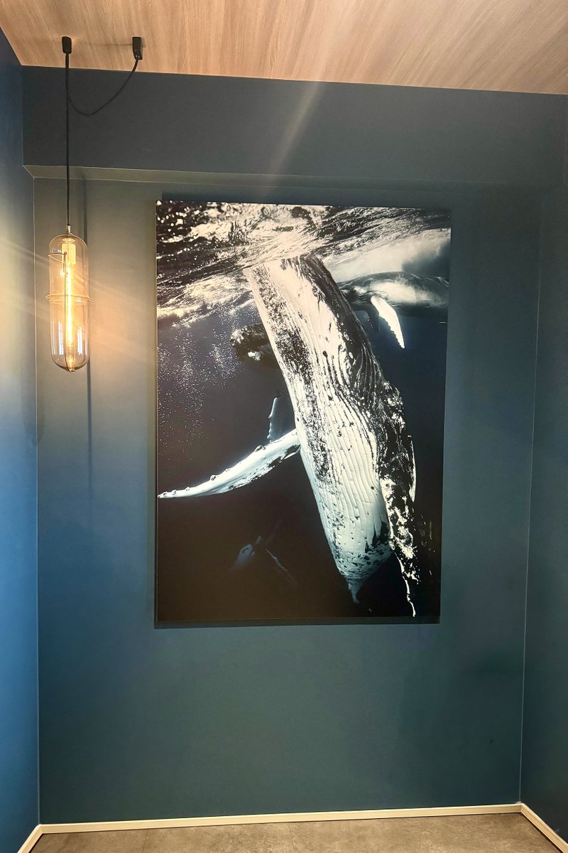 Yusuke Okada｜岡田裕介 (@yusukeeokada) / Posts / X