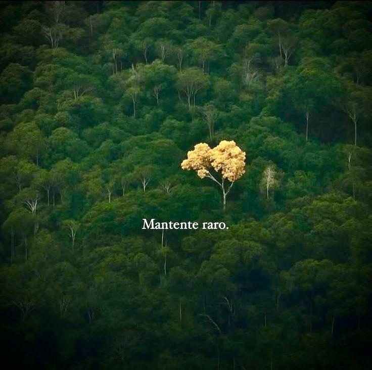 Disciplina (@eligedisciplina) on Twitter photo 