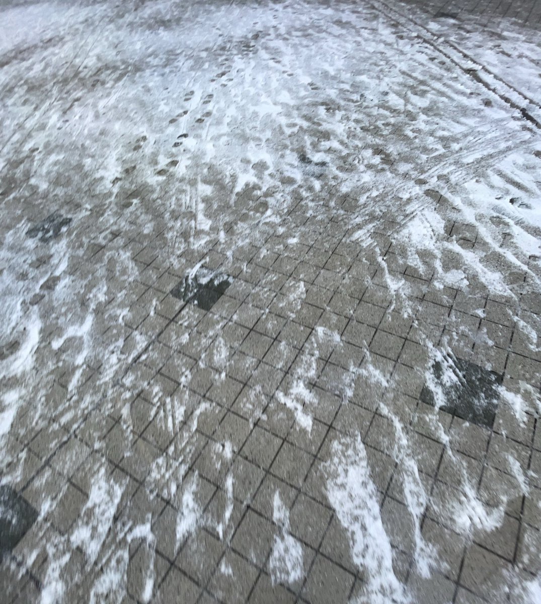 ビックサイト前のエントランスこんなで滑りやすいので参加の皆様マジでお気を付けてください(雪国民が恐怖する路面)