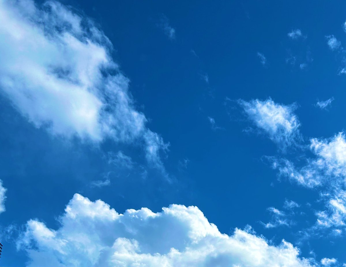 ルルルルる (@k_fushimi_) / Posts / X