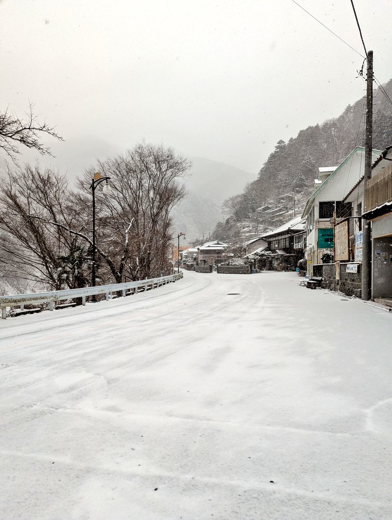 鴨沢文岳館 tweet media