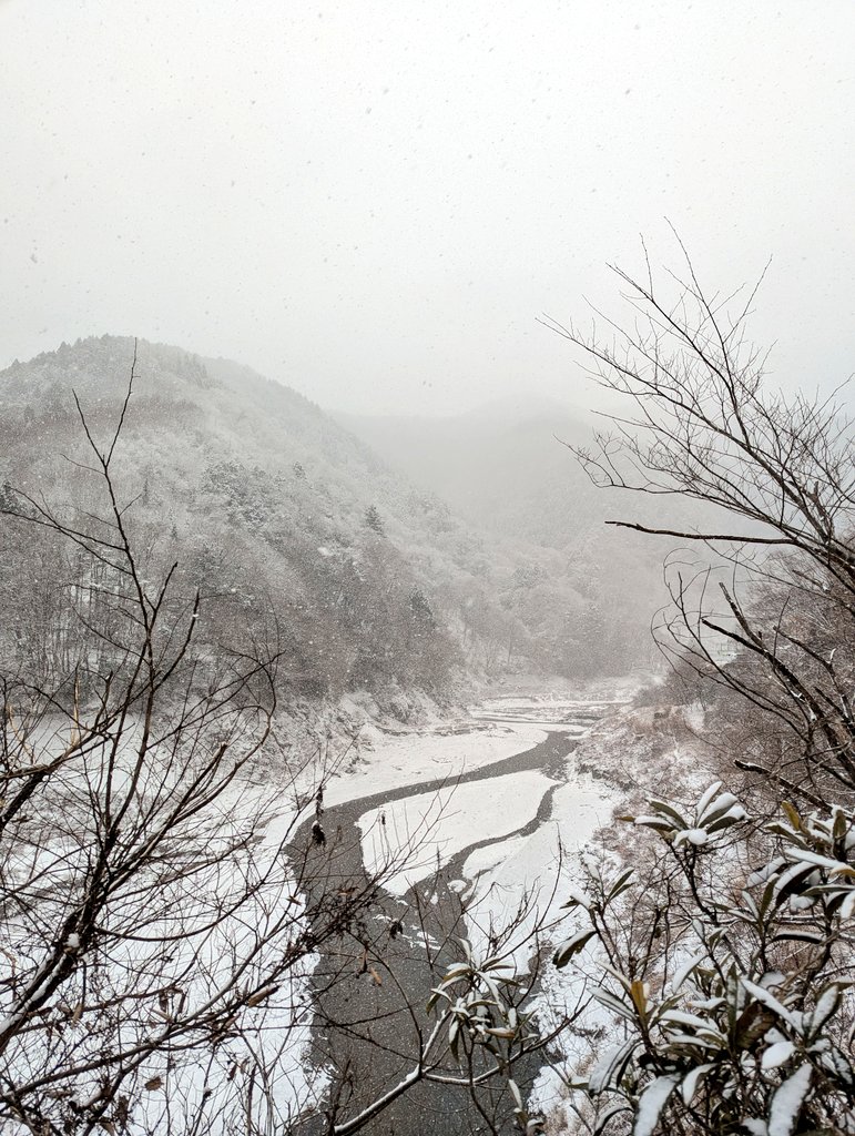 鴨沢文岳館 tweet media