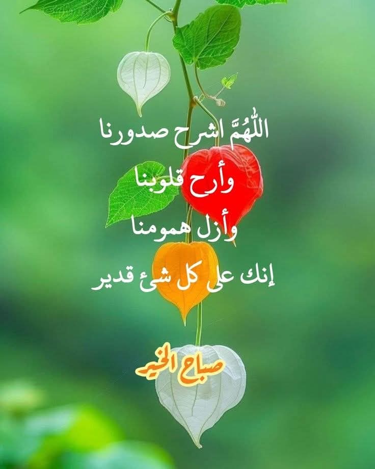 اللهمّ في هذا الصباح 🌿🌸
 ارزقنا من الخير أوفره، 
            ومن الرزق أطيبه،
                 ومن العافية أكملها، 
واجعل صباحنا بداية سعادة لا تزول،🌿🌸
 ونورًا يملأ الدروب يا رب.🌸
🌹 صباح الخير 🌹