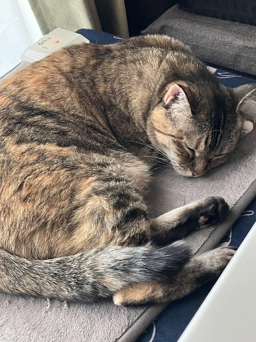 Jam or Pains. (@JamorPains) / Posts / X