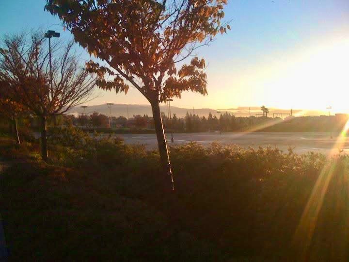 CandleSTACpark's tweet photo. Before #LevisStadium was built, taken in 2010 on a morning run. Have fun at #SuperBowl LX ! #TheSTAC @SNFonNBC @ESPNNFL @49ers @NFL @Seahawks @Patriots @SantaClaraCity #BayArea https://t.co/7QpoewOC9D
