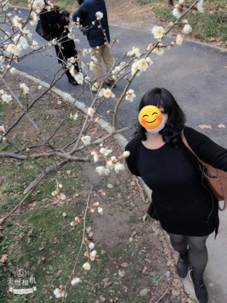 後面的一對老夫妻一直因為沒有喬好拍照的樣子而在那邊鬥嘴，完全無視其他路人的存在，我也只能夠無視他們自拍起來。
白梅好美唷！