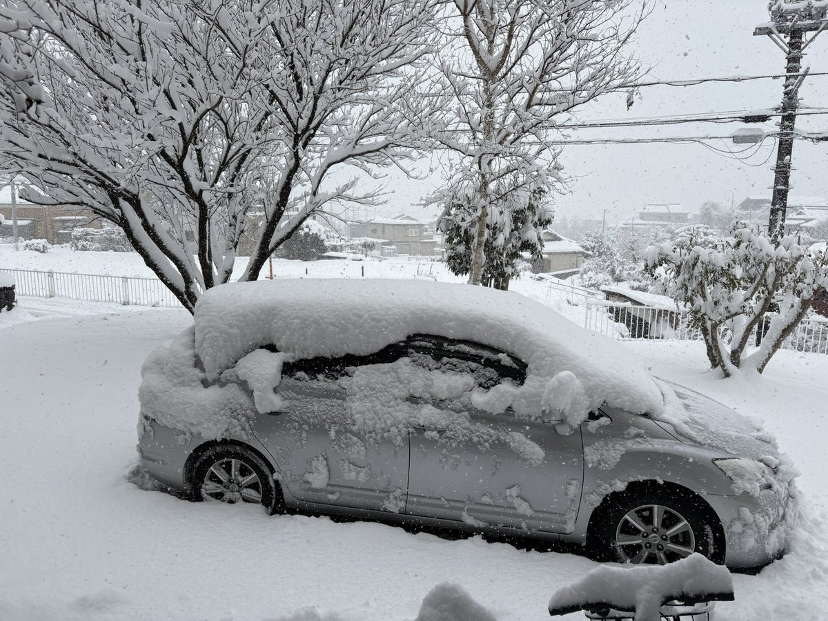 765PBBL's tweet photo. こんな雪初めて見た https://t.co/GKuU2fK4T5