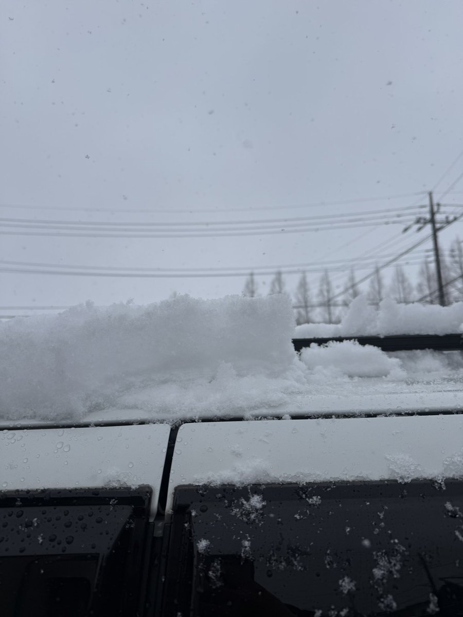 割と降ってんだな
ま別に