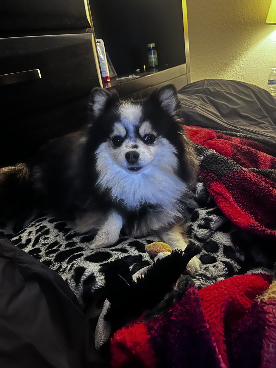 Lisa Chabot tweet media