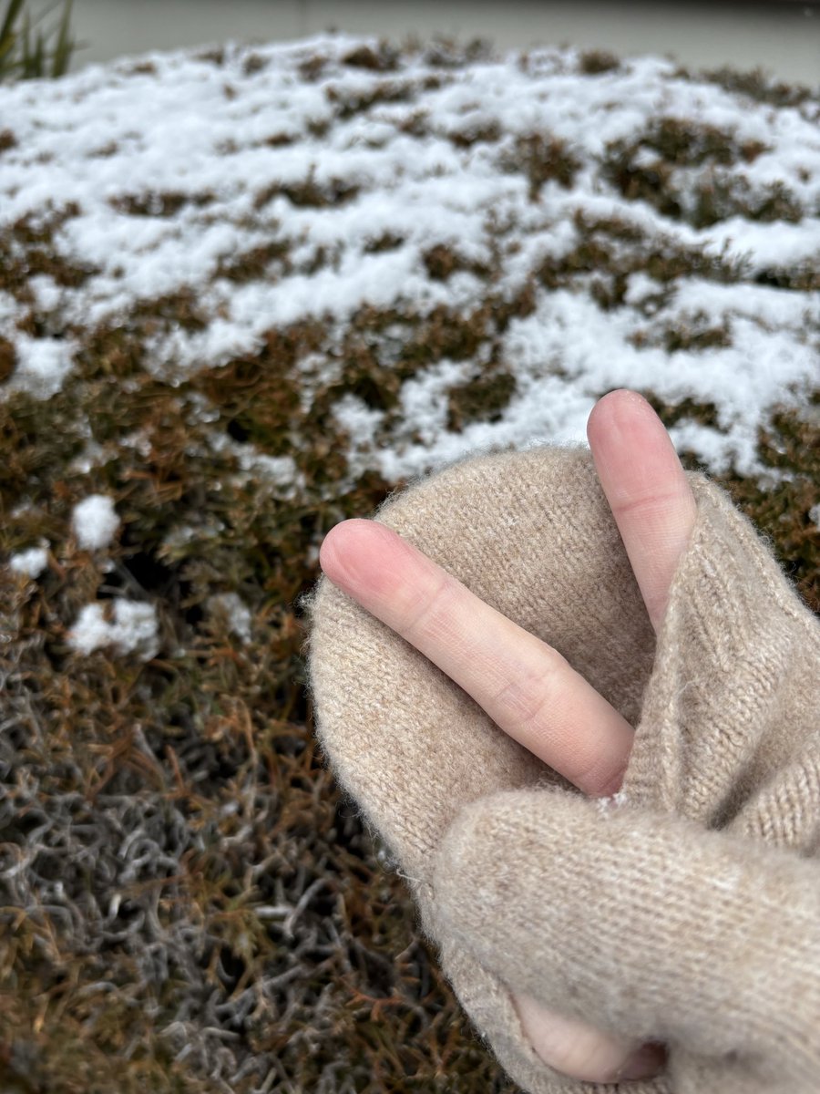 18きっぱーオカメ (@taishookameyan) / Posts / X