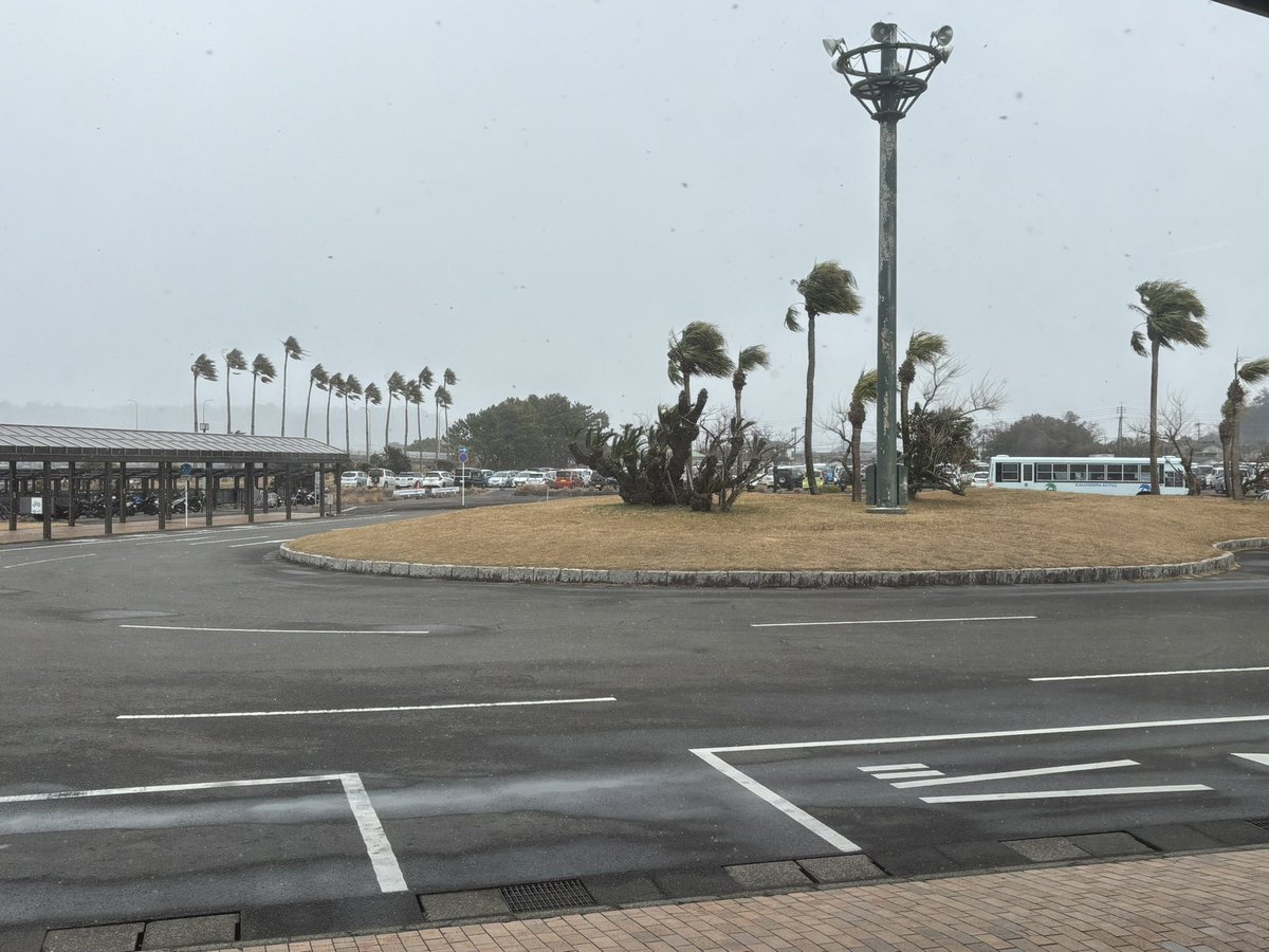 今キュービックに乗って鹿屋から垂水まで来たけど風と雪が強すぎる
1時のバスちゃんと走るかな？