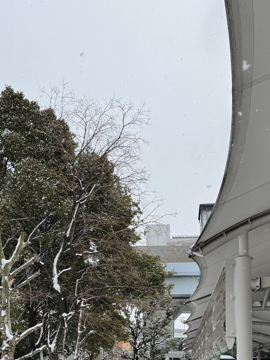 springbloomtime's tweet image. 快走了纪念一下 本次造就了一位大力女子…经历这次骤降温感觉以后什么苦都能吃