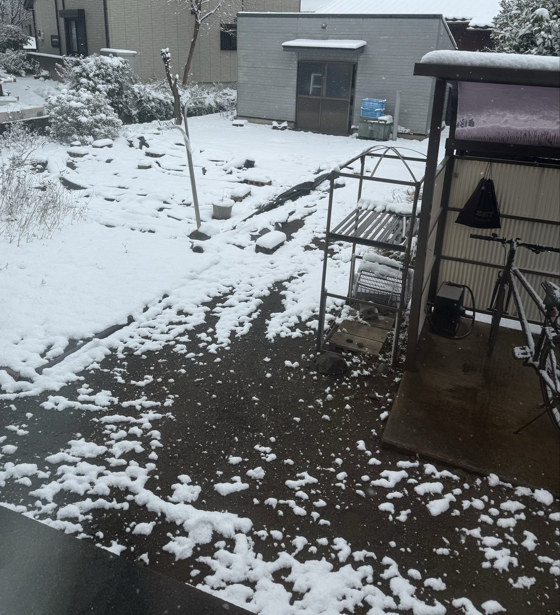 起きたらなんか…すごい…寒い…