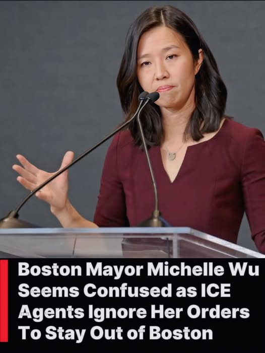 RickyDoggin's tweet image. By Gabe Owners, TDS News
BOSTON, MA — In a bold move that had all the legal weight of a strongly worded tweet from a blue-check celebrity, Mayor Michelle Wu signed an executive order “banning” ICE agents from the city limits. “Take that, federal government!” Wu reportedly…