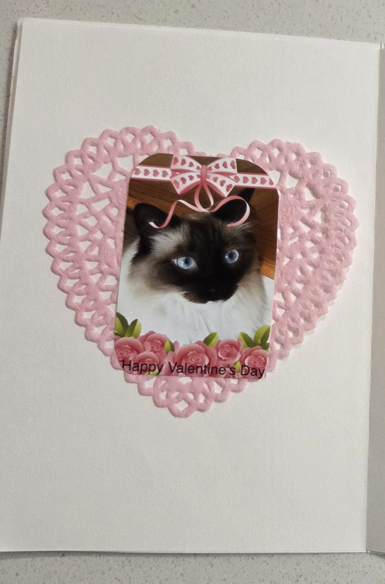 I just received the nicest card from Zara and her mama <a href="/NPR57744730/">Zara/NPR</a> with a beautiful picture of Zara inside. Thanks for thinking of me and Simba, we love you ❤️🥰😘