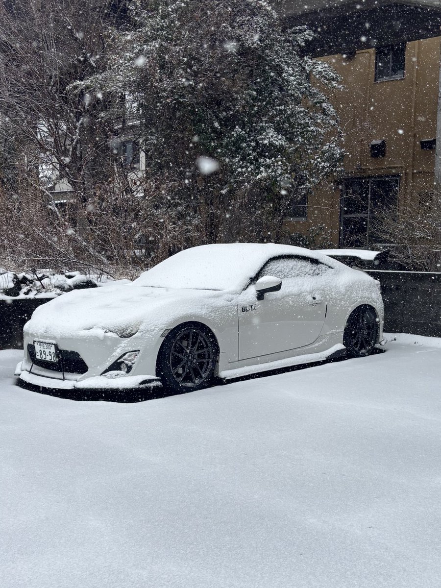 此処ですら積もるのか