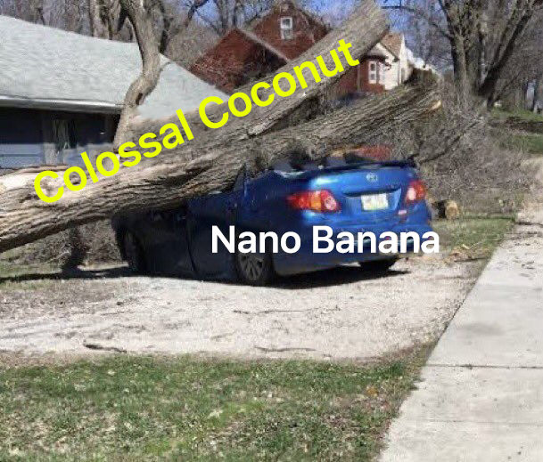 bhbm06's tweet photo. colossal coconut always win 🥥> 🍌
https://t.co/XVMpEkf9at https://t.co/qRVcX9ItvV