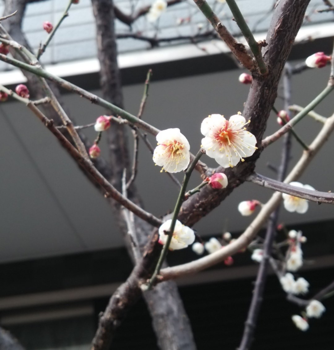 のりのりこ🇺🇦✊ (@VzHX2BYv588ESP8) / Posts / X