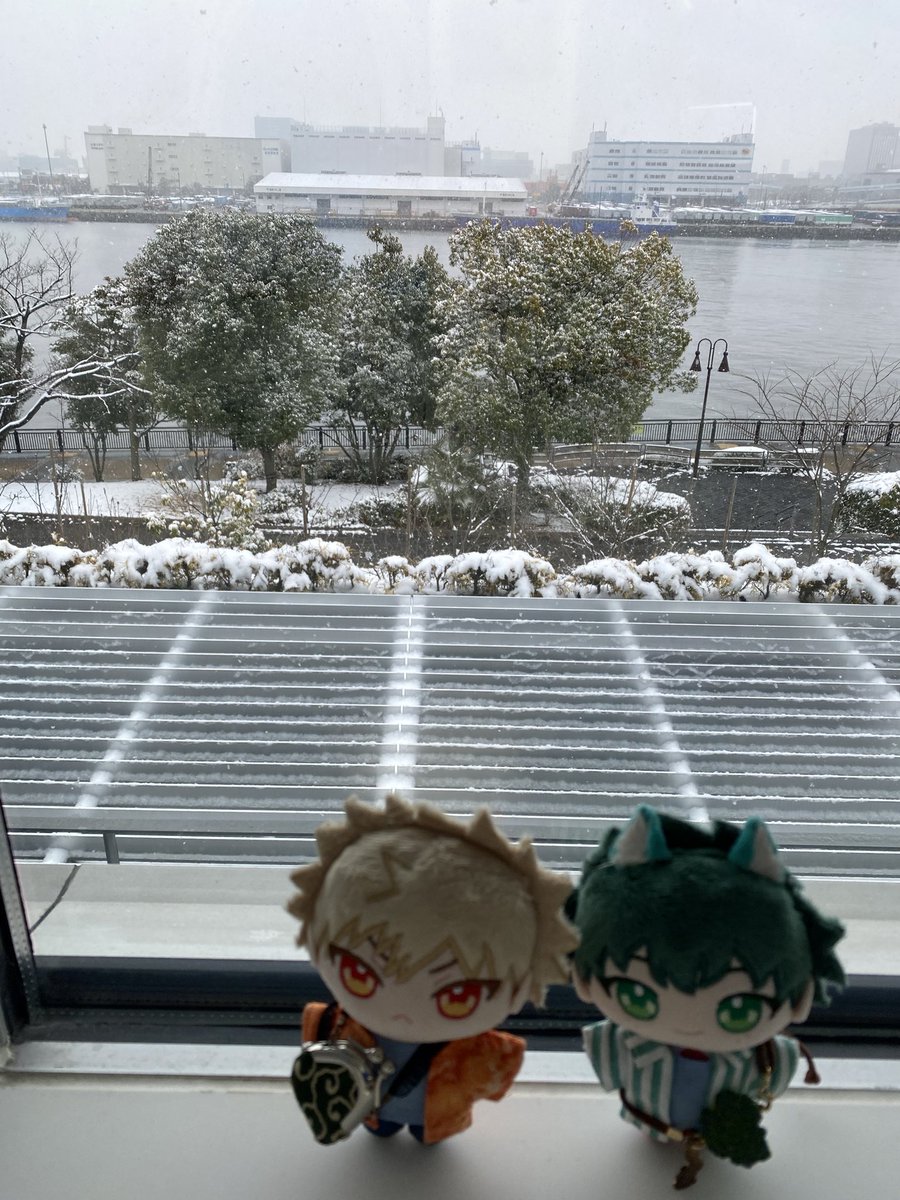 ぬい点呼
🐶ワン
🐱にぃ
雪❄️が降っているけど、渡通路ぬくぬく。
電車も無事動いているし、荷物も無事ピックアップして離脱できました。