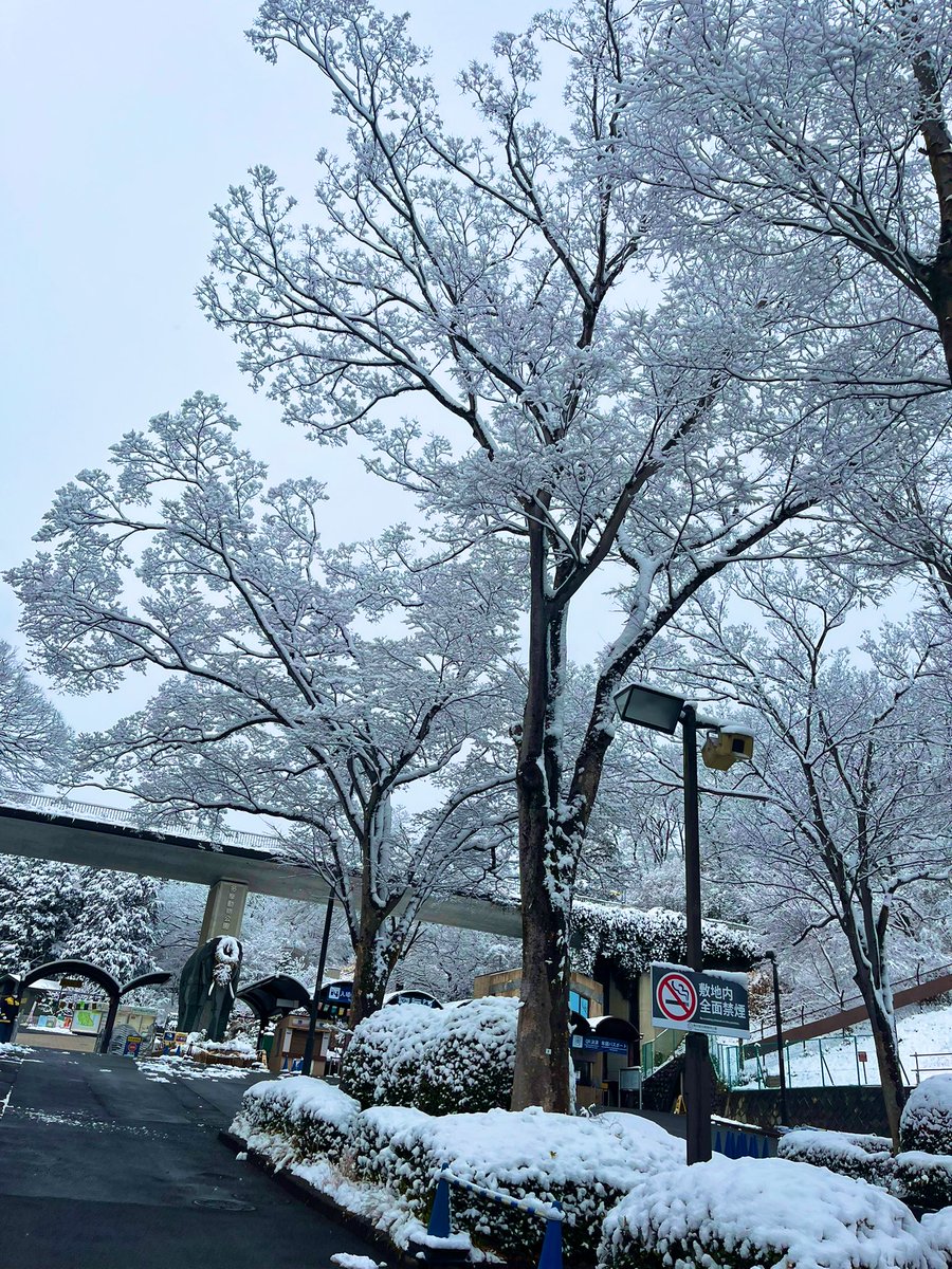 雪の中の雪豹に会いたくて来ました！！

思ってたより雪！！！！！！！！！