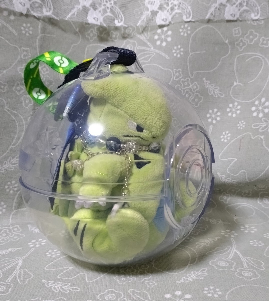 ポケパークカントーで購入した「ぬいぐるみ連れ歩きケース」2500円