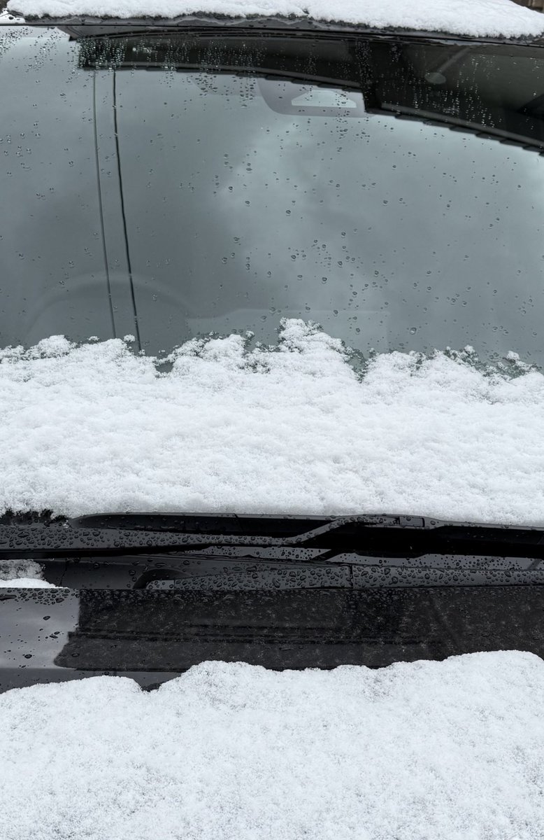 どこも雪凄いみたいだけど外見たら
車にしか積もってなくて悲しい
車の上の雪かき集めて雪合戦するか…