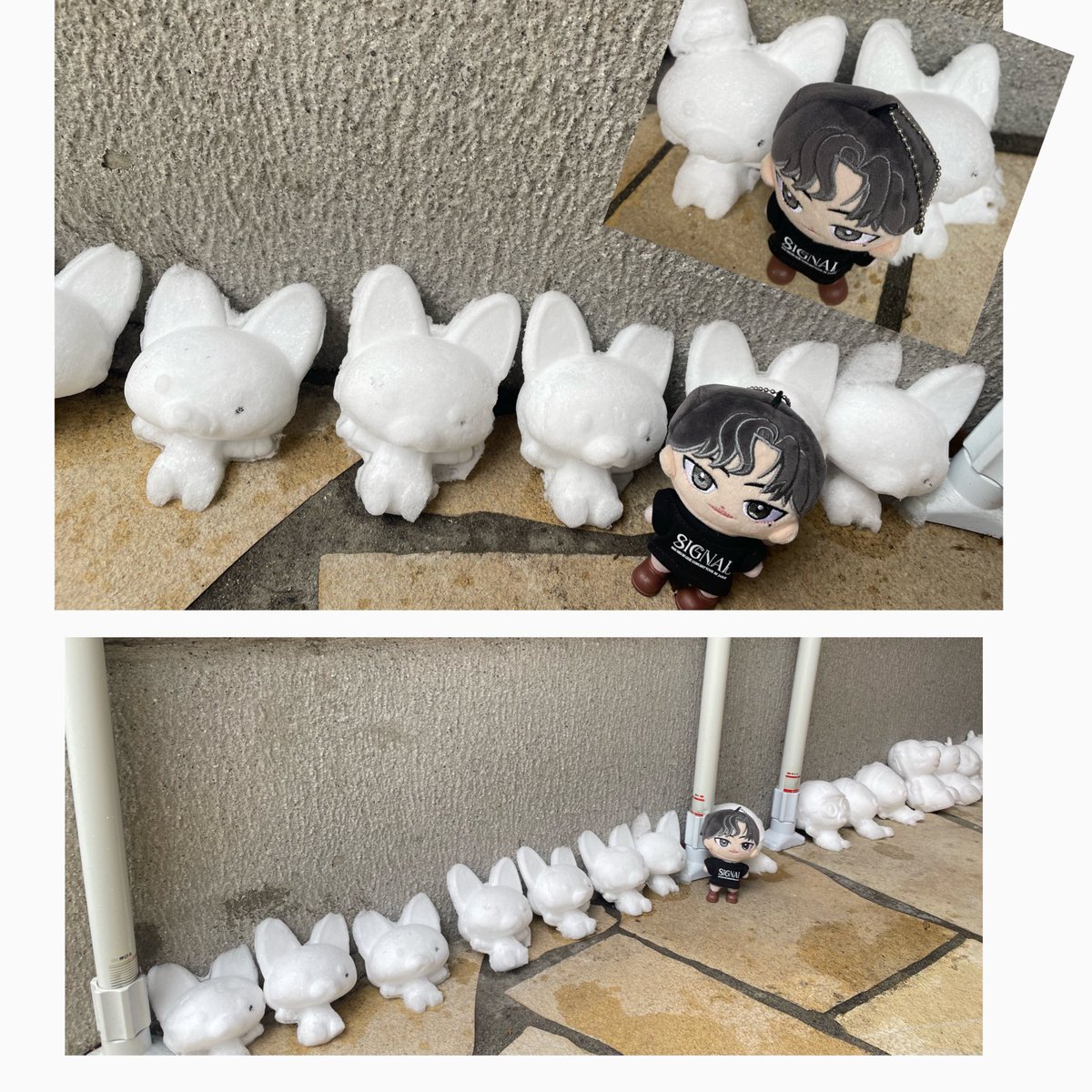 IDOLLSTYLE ちびぬい ぬい服 ぬいぐるみ グッズ 取扱 新大久保 東新宿