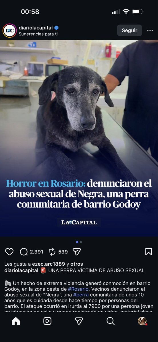 Por favor <a href="/JMilei/">Javier Milei</a> necesitamos que se haga algo por los animales, no puede ser que estas cosas queden impunes.

#MaltratoAnimal #AnimalCruelty #Argentina