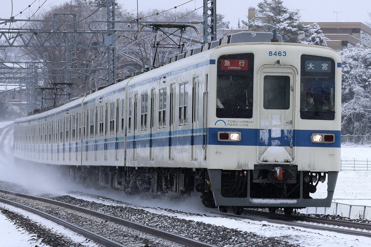 ウメちゃん  ページ うめちゃん (@t7XUrkaYgvlSBPE) / Posts / X