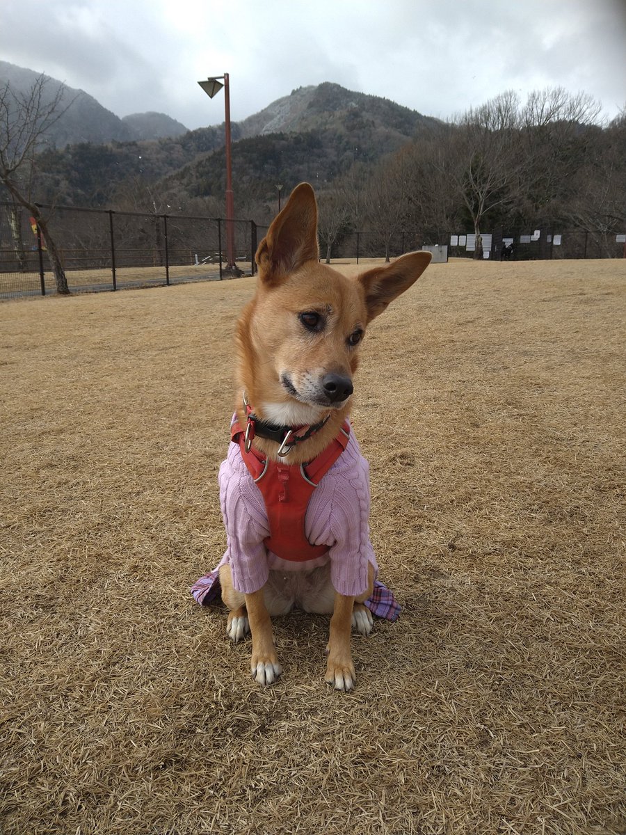 kirariny1's tweet photo. さっきここ。 https://t.co/52lQpD1ATc