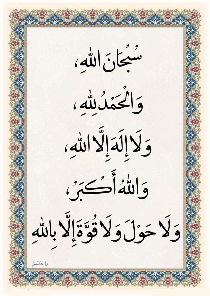 كبرياء الورد..🌸♡●•R tweet media