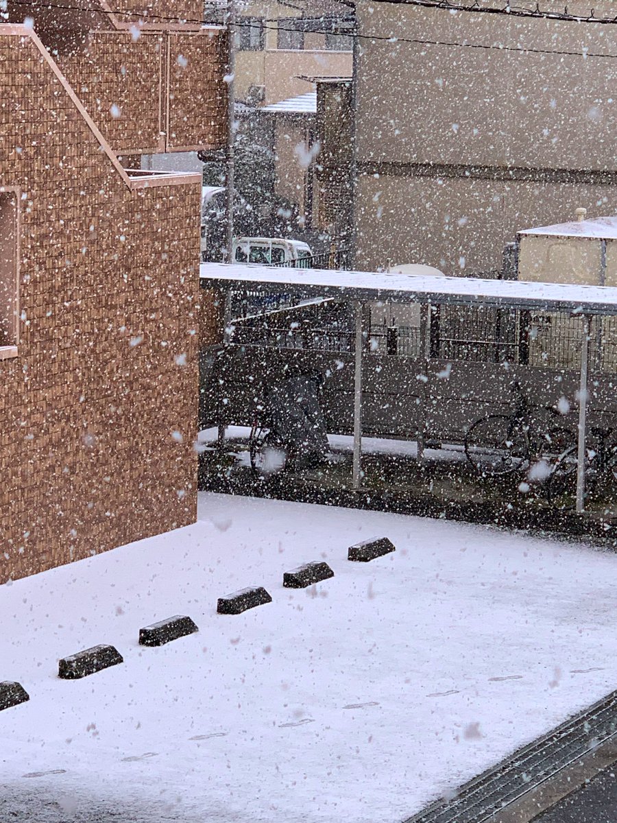 BlogCoolRockcom's tweet photo. 本格的な雪〜☃️
雪が降るとテンション上がる静岡県民です😂 https://t.co/47sGIEYxZD