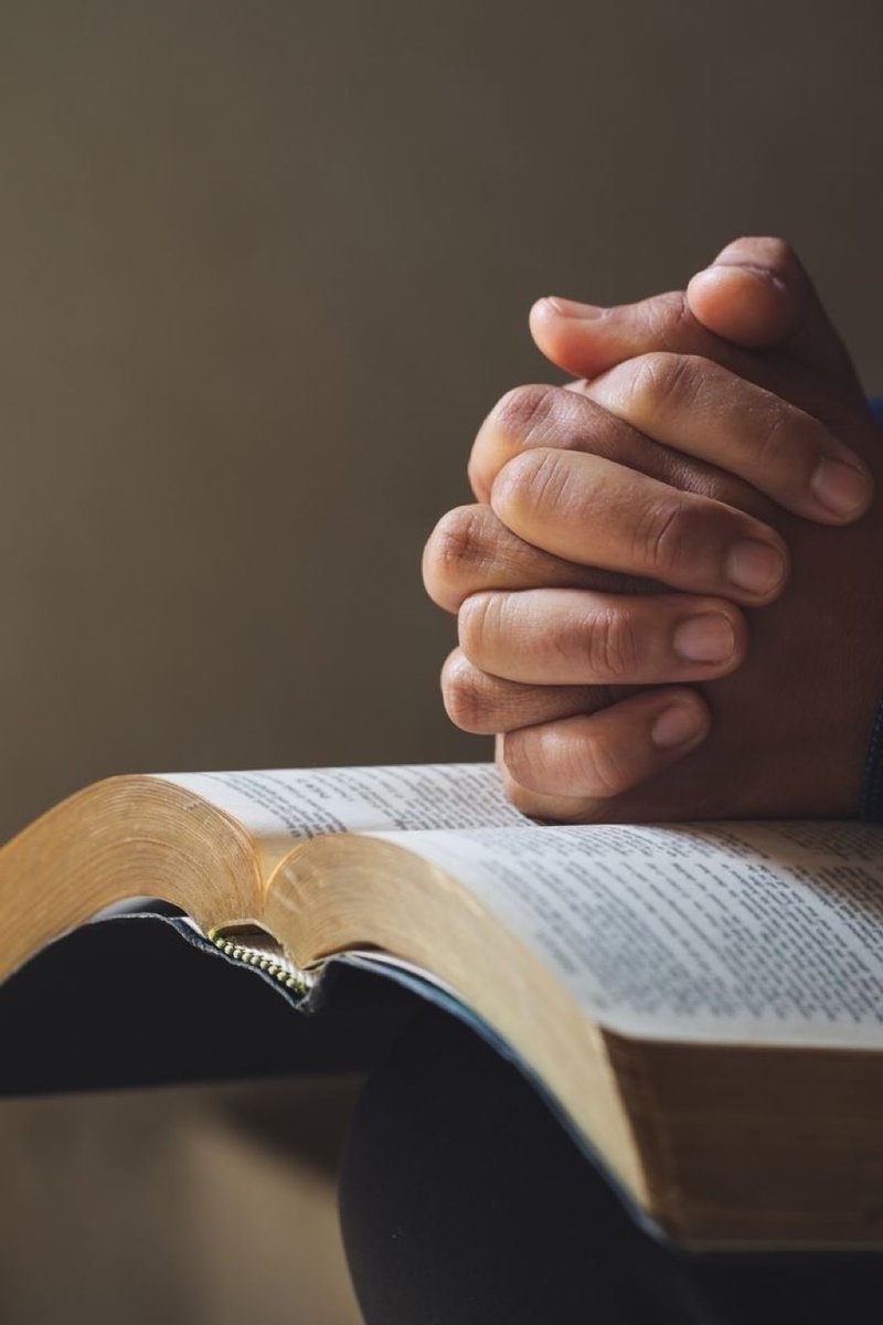 sola_chad's tweet photo. What book of the Bible did your pastor preach from today? https://t.co/BGBSBdPL2k