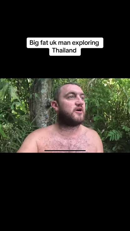 Tropical_Xavier's tweet photo. @SurenVynn @yoltartar @alex_with_ease https://t.co/N0tTehTLqF
