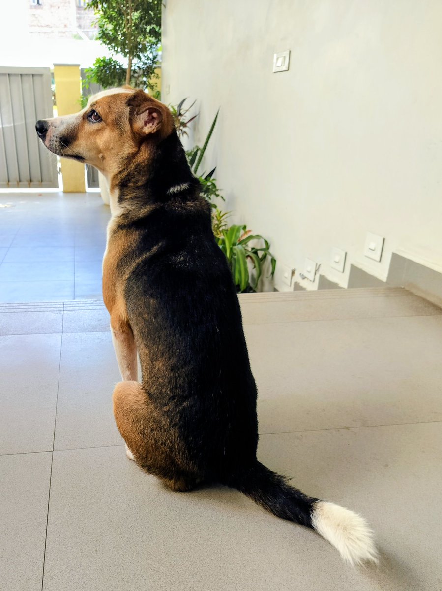 Aparna Karthikeyan tweet media