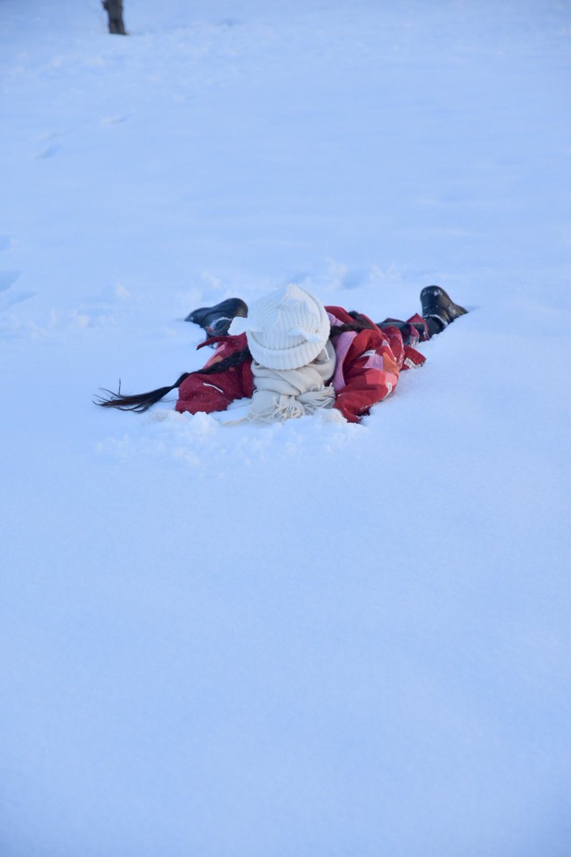 いつかの雪撮❄️ https://t.co/ELO2y8ry6c