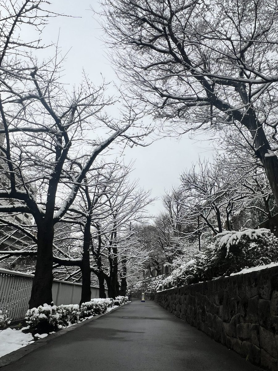 13時の江戸川橋公園です。雪景色ポートレートを東京で撮るのイイですね❣️
