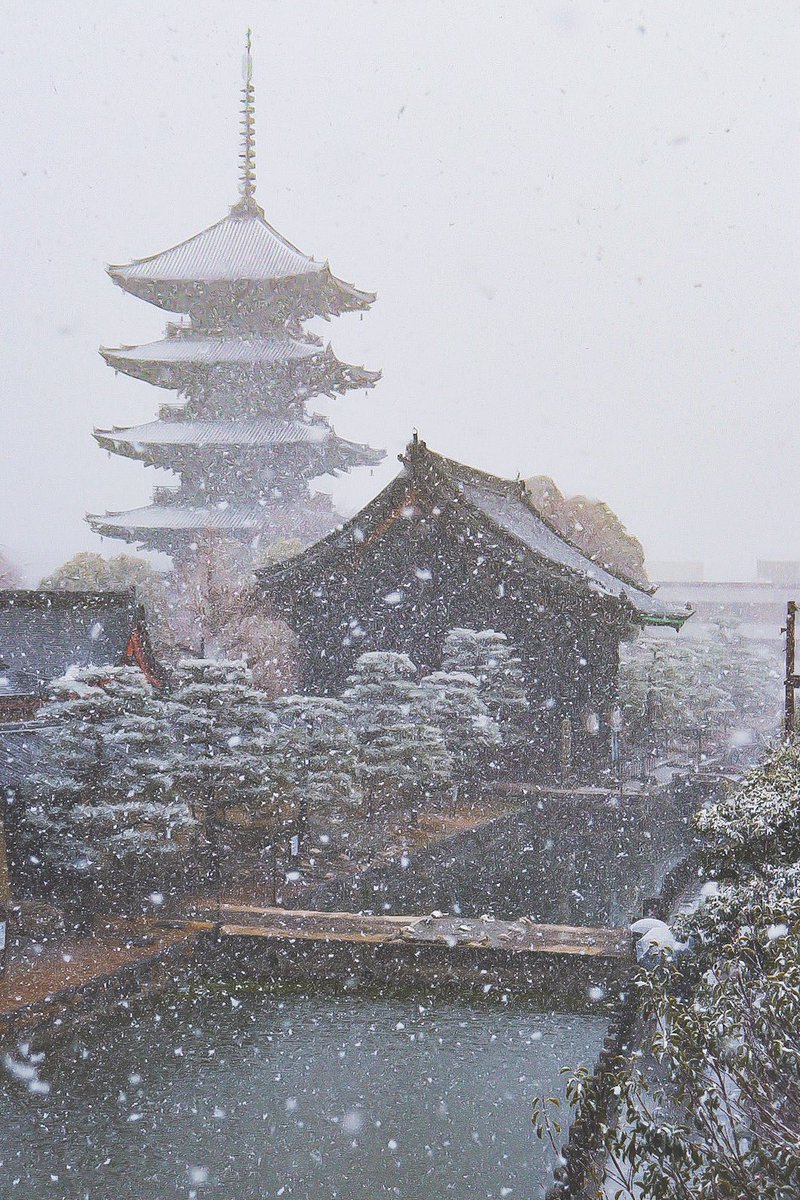 京都市内、ハイライトは金閣寺だけではない！

＿人人人人人人人＿
＞　　東　寺　　＜
￣Y^Y^Y^Y^Y^Y￣

雰囲気まるで討ち入り前。

大雪警報、雪めちゃ降ってる。