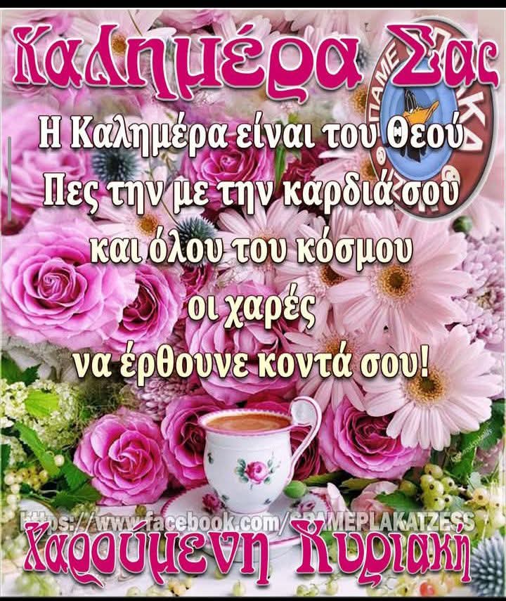 THOMAS TASOULAS (@tasoulasthomas) on Twitter photo 